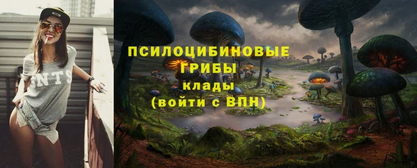 стаф Магадан