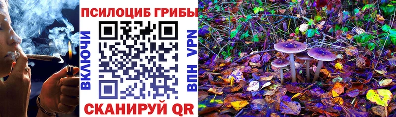 Псилоцибиновые грибы мицелий  Купить где  Кукмор 
